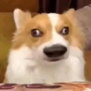 Sticker РОМАСС АВТОР - 1