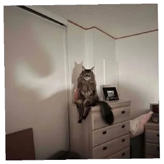 Sticker РОМАСС АВТОР - 5