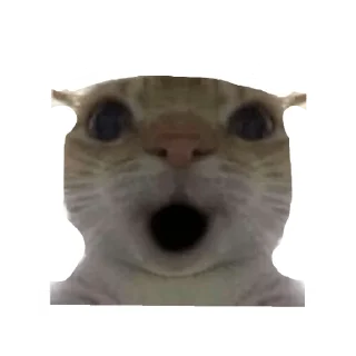 Sticker РОМАСС АВТОР - 7