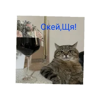 Sticker РОМАСС АВТОР - 9