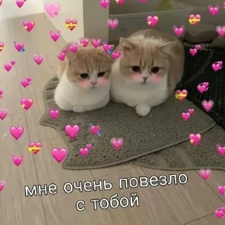 Sticker Больше стиков тут: @stikery4 - 7