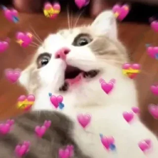 Sticker Больше стиков тут: @stikery4 - 10