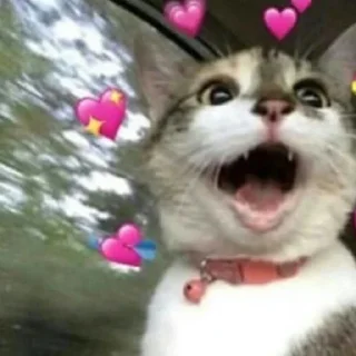 Sticker Больше стиков тут: @stikery4 - 0