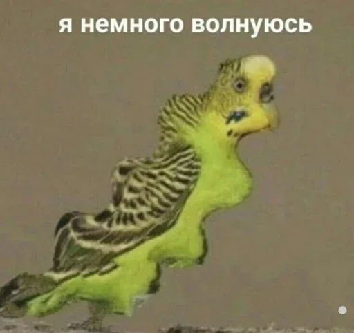 Sticker RPXZfzWidamE_by_stickers_stealer_bot - 1