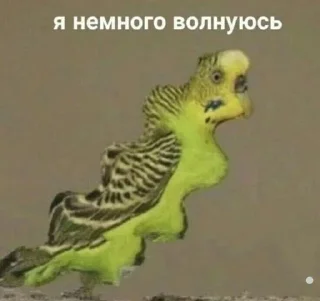 Sticker Больше стикеров: @sticerru - 9