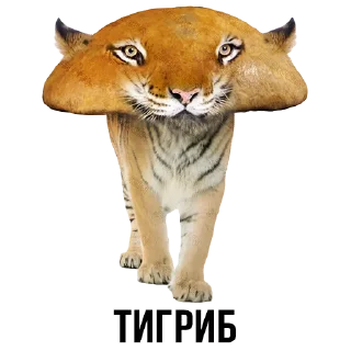 Sticker Создай свои стикеры - @sozdsti_bot - 5