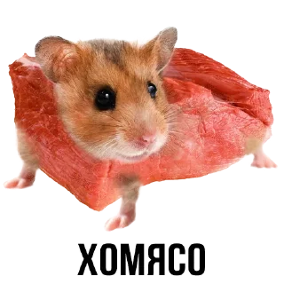 Sticker Создай свои стикеры - @sozdsti_bot - 11