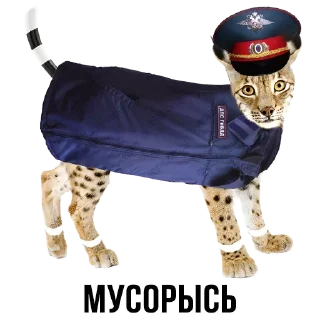 Sticker Создай свои стикеры - @sozdsti_bot - 3