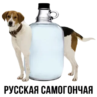 Sticker Создай свои стикеры - @sozdsti_bot - 9