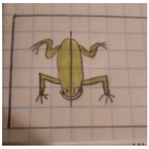 Стикер РЫДЫНДЫР 1ИгрикБетмен, но это Телега - 2