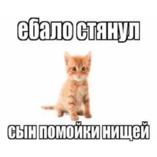 Sticker Больше стиков тут: @stikery4 - 1