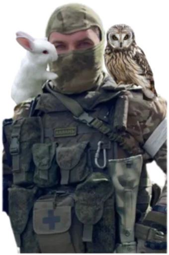 owl person military
