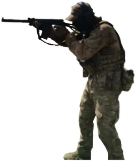 weapon firearm rifle