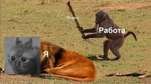 Работа пиздос - 