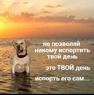 Sticker Работа пиздос - 0