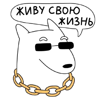 Sticker Ducks @stickersb2b - 7