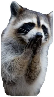 Sticker Енот - 11