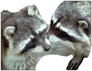 Sticker Енот - 4