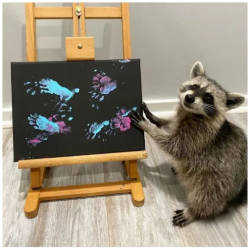 Sticker RaccoonF - 1