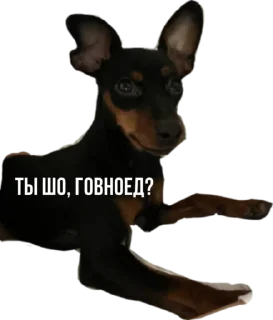 Стикер Rachel.vor - 2