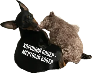 Стикер Rachel.vor - 6