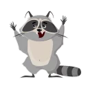 Стикер Racoon @stickersb2b - 7