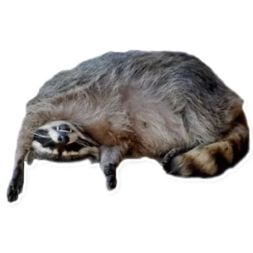 животное млекопитающее эскиз