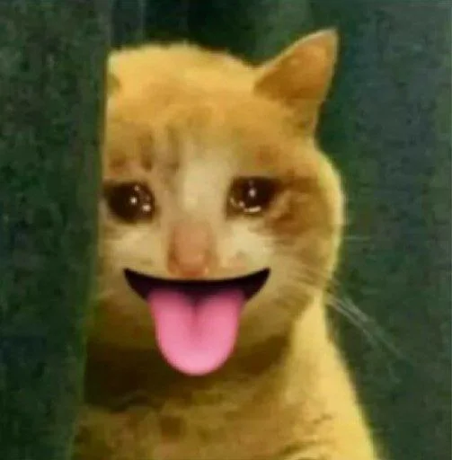 Sticker RaffCuedOctas_by_fStikBot - 1