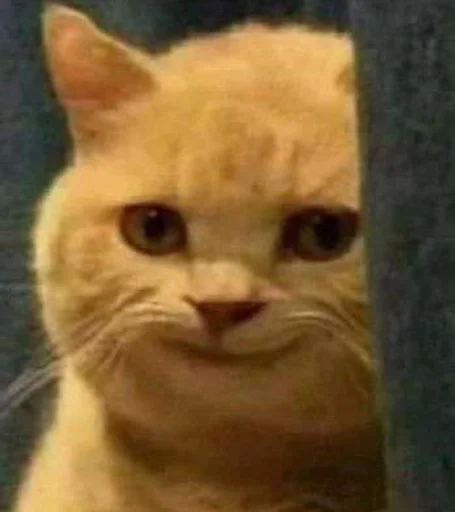 Стикер Стики от полли :: @fStikBot - 11