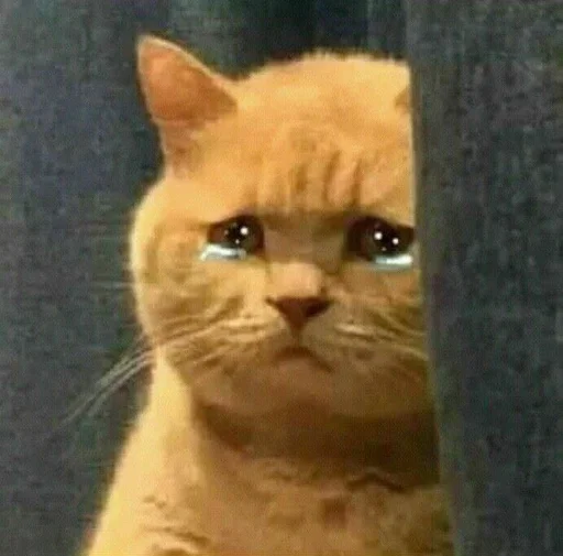 Стикер Стики от полли :: @fStikBot - 10