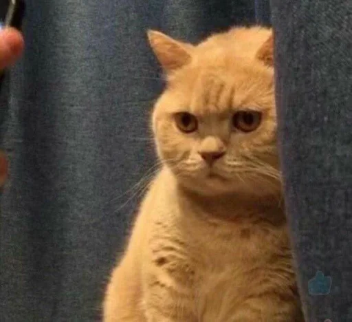 Стикер Стики от полли :: @fStikBot - 9