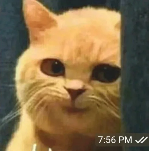 Стикер Стики от полли :: @fStikBot - 8