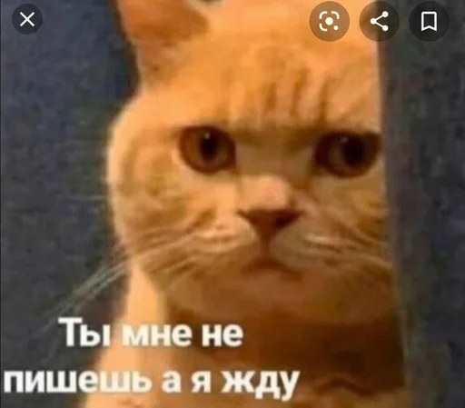 Стикер Стики от полли :: @fStikBot - 6