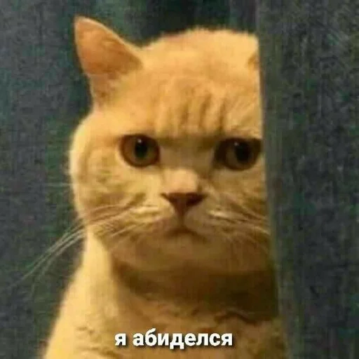 Стикер Стики от полли :: @fStikBot - 5