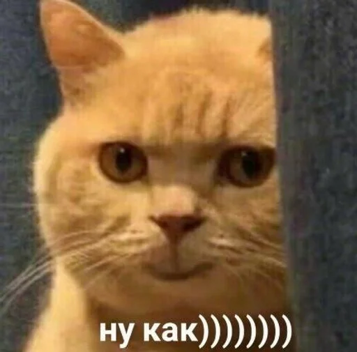 Стикер Стики от полли :: @fStikBot - 4