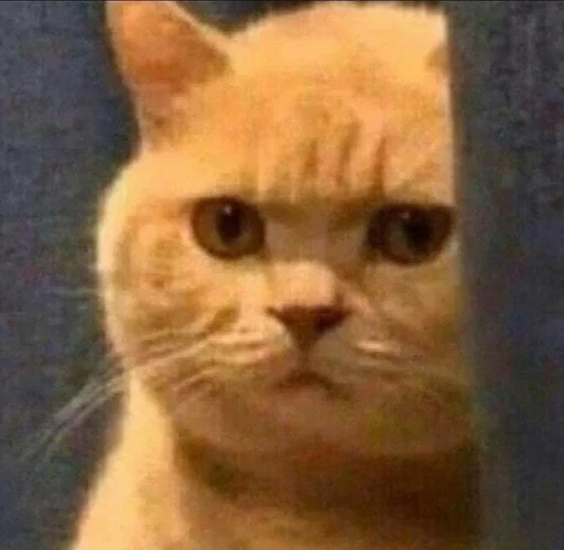 Стикер Стики от полли :: @fStikBot - 3