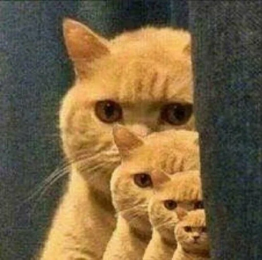 Стикер Стики от полли :: @fStikBot - 2