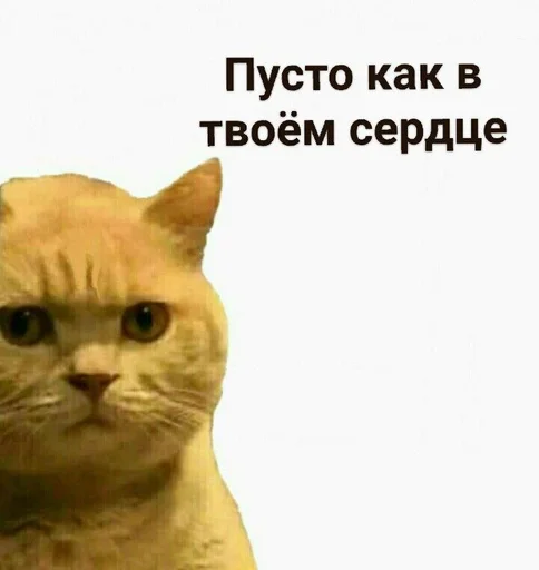 Стикер Стики от полли :: @fStikBot - 1