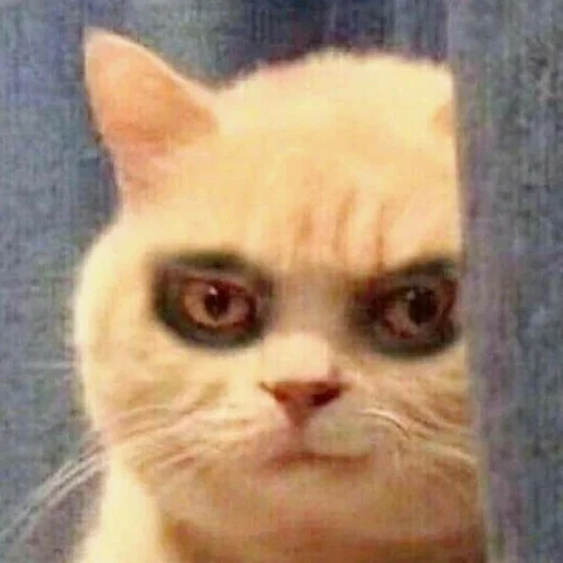 Стикер Стики от полли :: @fStikBot - 0