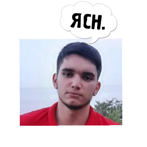 Sticker RaidHorse - 1