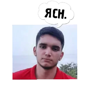 Стикер RaidHorseFace2 - 5