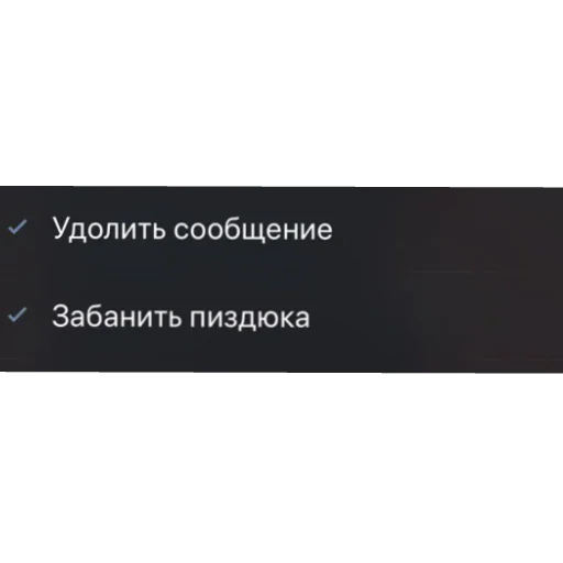 Стикер Раиса Васильевна - 2