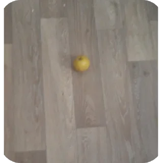 Стикер Ракета бомба петаррррда - 1