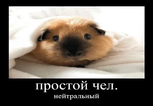 Sticker Ramdy's post irony :: @fStikBot - 6