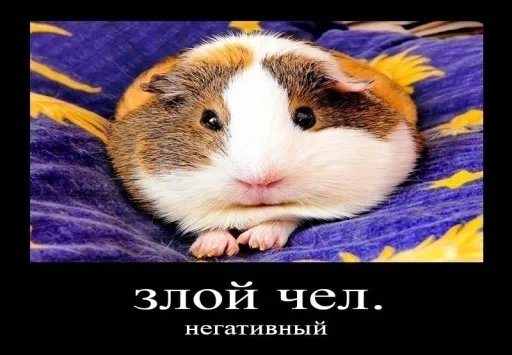 Sticker Ramdy's post irony :: @fStikBot - 4