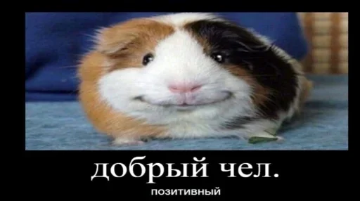 Sticker Ramdy's post irony :: @fStikBot - 3