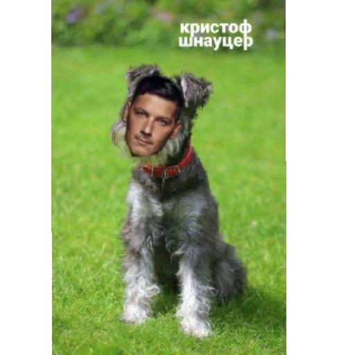 Sticker Rammstein - 1