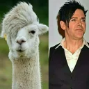 Стикер Rammstein 🔥🖤 - 10