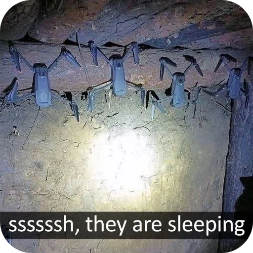 Стикер Random7032 - 1