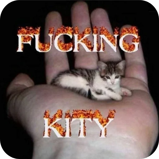 Стикер Random7032 - 1